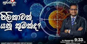 What is a cancer | S1:E1